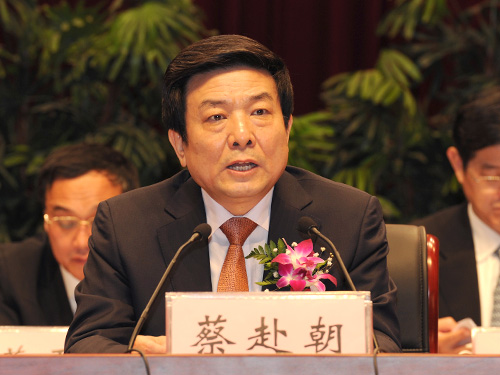 新聞出版廣電總局局長蔡赴朝首提鼓勵(lì)視頻網(wǎng)站生產(chǎn)原創(chuàng)內(nèi)容