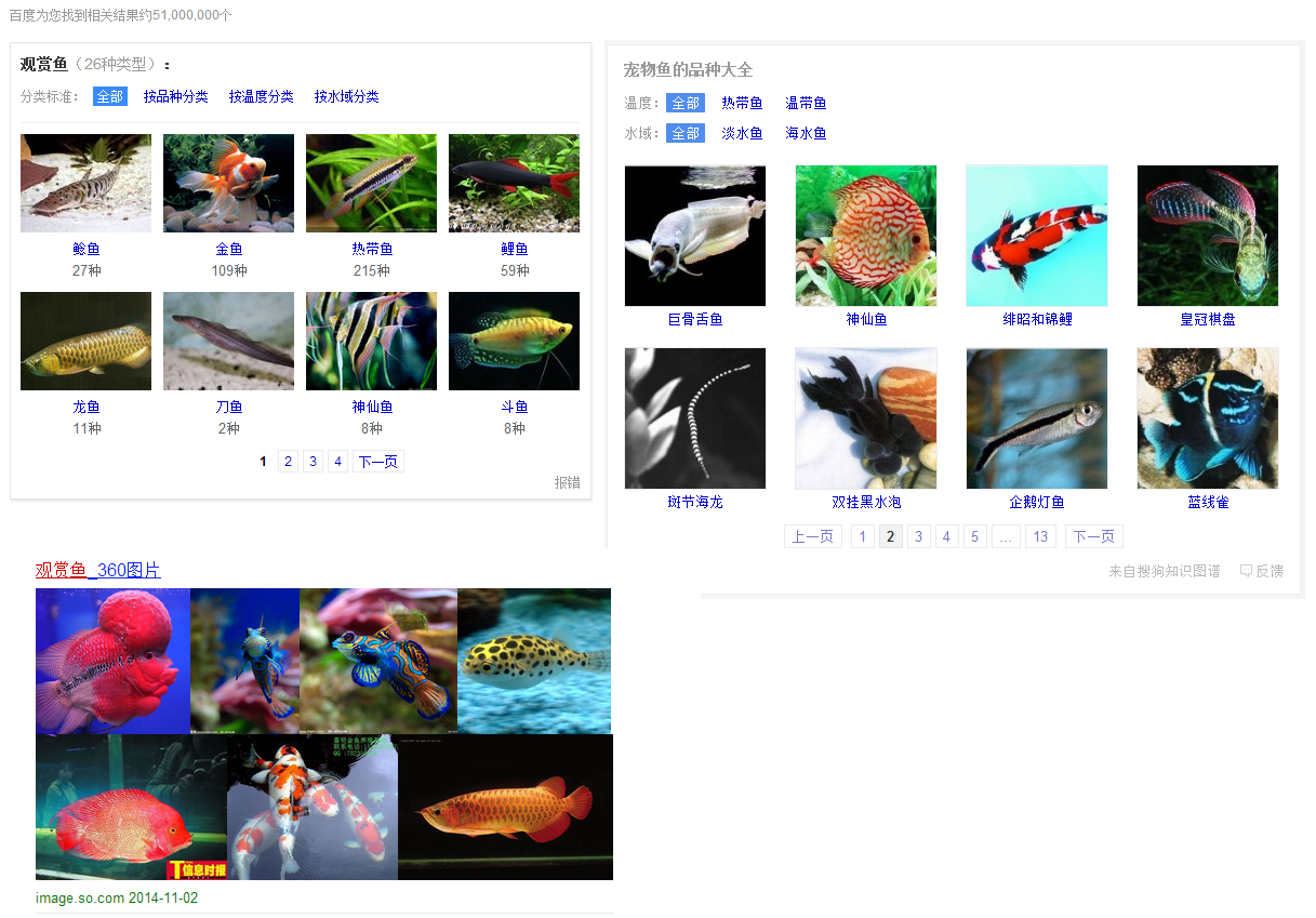 觀賞魚(yú).png