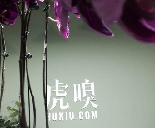夜也野耶！帶你去看創(chuàng)投分享會(huì)搬家暖房趴