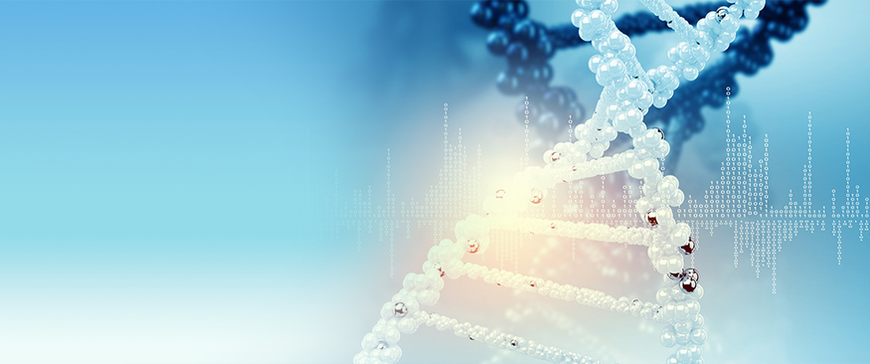 北海康成（北京）醫(yī)藥科技有限公司介紹