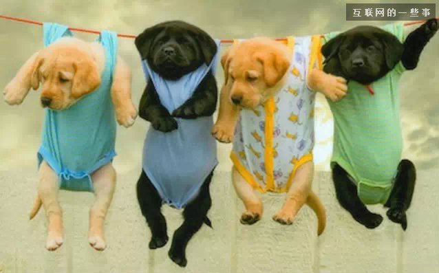 移動(dòng)互聯(lián)網(wǎng)時(shí)代的十大酷刑,互聯(lián)網(wǎng)的一些事