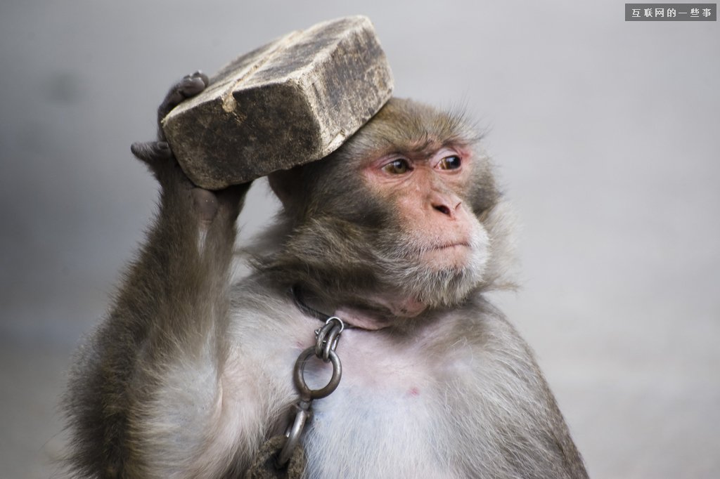 耍猴人周鴻祎,互聯(lián)網(wǎng)的一些事