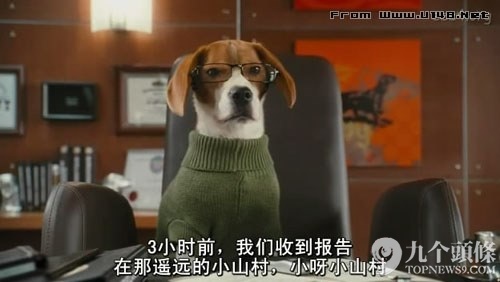 字幕組走了 留下一池奇葩翻譯：“日子過得跟新聞聯(lián)播一樣”?,互聯(lián)網(wǎng)的一些事