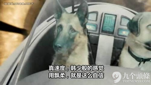 字幕組走了 留下一池奇葩翻譯：“日子過得跟新聞聯(lián)播一樣”?,互聯(lián)網(wǎng)的一些事
