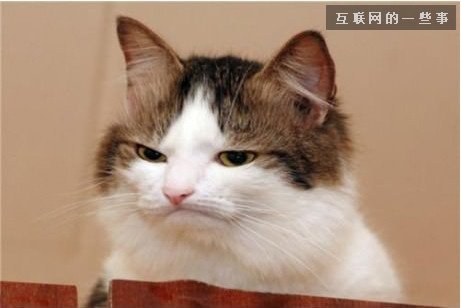 解讀：為啥微信里的聲音聽起來不像你,互聯(lián)網(wǎng)的一些事