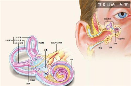 解讀：為啥微信里的聲音聽起來不像你,互聯(lián)網(wǎng)的一些事