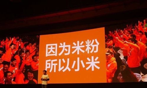 粉絲經(jīng)濟(jì)：小米的達(dá)摩克利斯之劍,互聯(lián)網(wǎng)的一些事