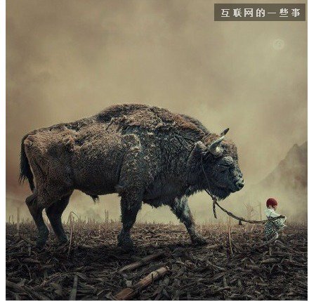 值得你我細(xì)細(xì)品味的9句話(huà)9張圖,互聯(lián)網(wǎng)的一些事