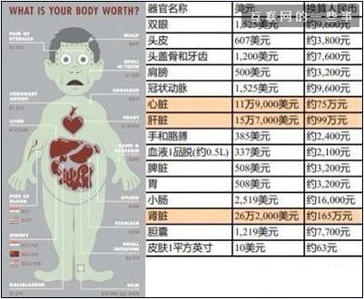 不賣身不賣腎：史上最佳獲取iphone6的攻略(不服不行……),互聯(lián)網(wǎng)的一些事