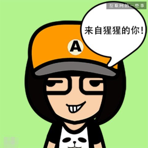“流星應(yīng)用”臉萌和Yo教會我們的3件事,互聯(lián)網(wǎng)的一些事