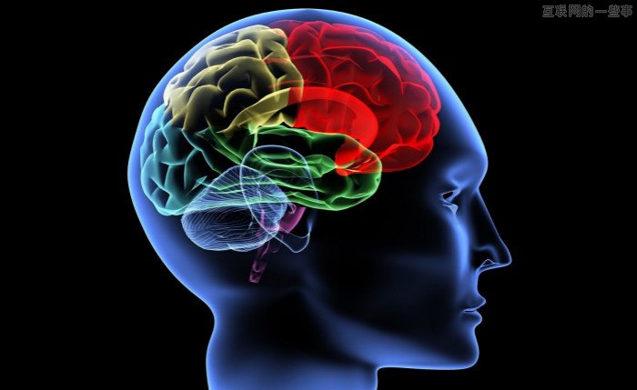 當我們把＂最強大腦＂當娛樂時 國外對人腦的研究已到了這個程度,互聯(lián)網(wǎng)的一些事