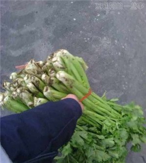 年終發(fā)獎是財大氣粗，還是AV女優(yōu)助陣？,互聯(lián)網的一些事