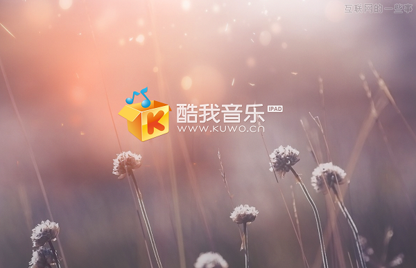 估值近億美元，酷我音樂是否值這個(gè)價(jià)？,互聯(lián)網(wǎng)的一些事