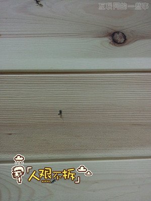 【怒贊】低調(diào)復(fù)興！手機(jī)QQ半年用戶(hù)飆升5000萬(wàn)：三大秘訣PK微信,互聯(lián)網(wǎng)的一些事
