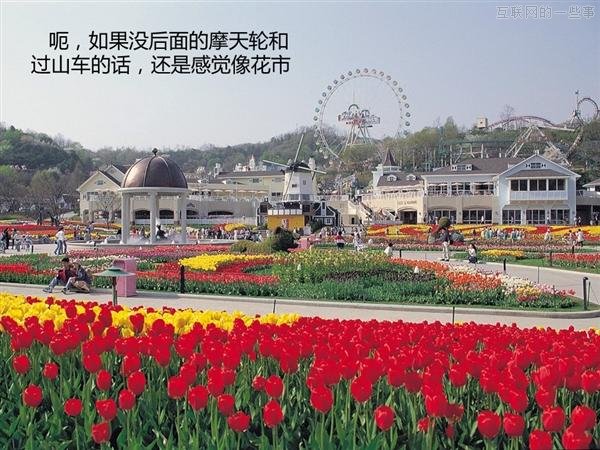 【多圖】來見識“三星共和國”的另一面,互聯(lián)網(wǎng)的一些事