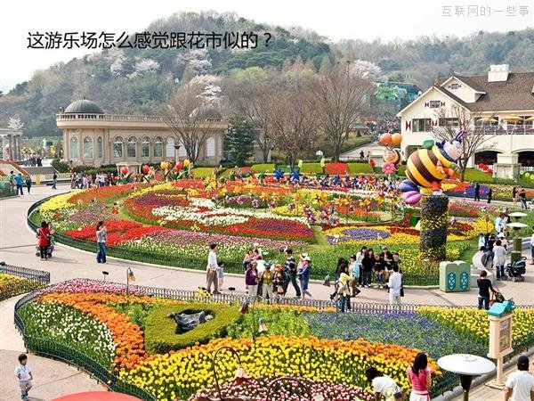 【多圖】來見識“三星共和國”的另一面,互聯(lián)網(wǎng)的一些事