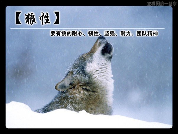 中國企業(yè)界的狼性文化,互聯(lián)網(wǎng)的一些事