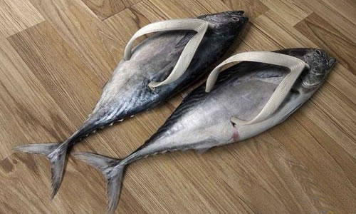 做產(chǎn)品還是做咸魚(yú)？,互聯(lián)網(wǎng)的一些事