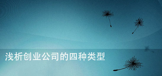淺析創(chuàng)業(yè)公司的四種類型,互聯(lián)網(wǎng)的一些事
