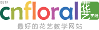優(yōu)秀項目推薦：花藝在線、藍色愛、慧旅網、時客等,互聯(lián)網的一些事