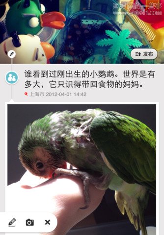 移動(dòng)應(yīng)用周刊：足印兒、旅游攻略、AppsKoo、內(nèi)涵段子等,互聯(lián)網(wǎng)的一些事