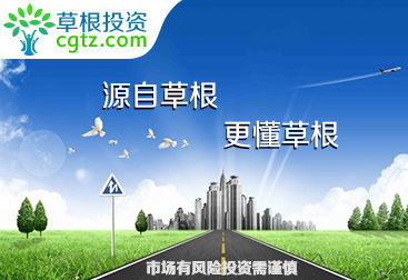 創(chuàng)新型供應(yīng)鏈金融領(lǐng)先者“草根投資”