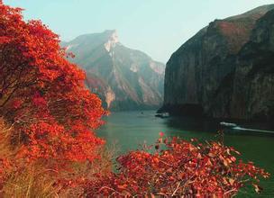 鳳凰旅游B輪融資 正源策略君聯(lián)資本基石資本聯(lián)投