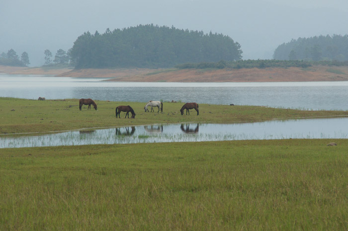 旅游O2O平臺——鳳凰旅游