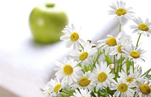 社區(qū)O2O服務(wù)平臺(tái)“家生活”獲得融資