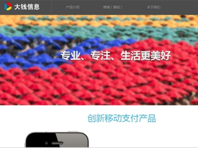 互聯(lián)網(wǎng)金融支付平臺(tái)——大錢(qián)信息